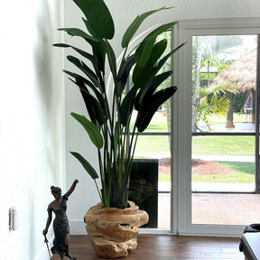 Große Vase aus Teakholz mit prachtvoller Strelitzie (Paradiesvogelblume)