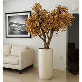 Magnolienbaum in Beige im St. Tropez glänzend weißen Topf – Neuerscheinung