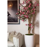 Pinkfarbener Magnolienbaum im St. Tropez-Topf in strahlendem Weiß – Neuerscheinung
