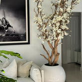 Weißer Magnolienbaum im 126 cm glänzenden weißen Globus-Topf